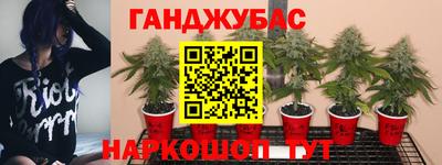 ГАЛЛЮЦИНОГЕННЫЕ ГРИБЫ Гусиноозёрск