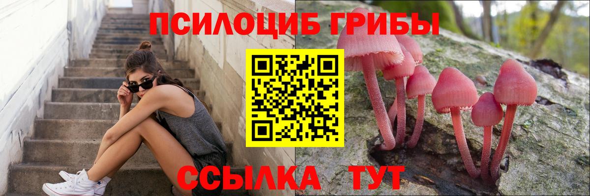 Псилоцибиновые грибы Psilocybine cubensis Нефтекамск